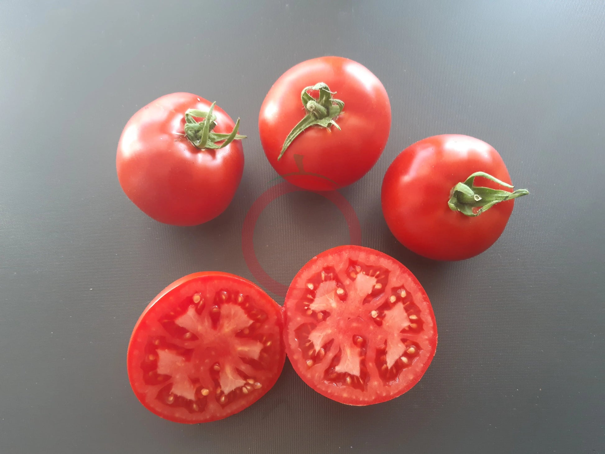 Gordo di Torrelaguna DER TOMATENFLÜSTERER