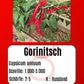 Gorinitsch DER TOMATENFLÜSTERER