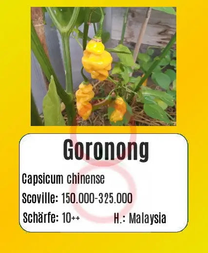 Goronong DER TOMATENFLÜSTERER