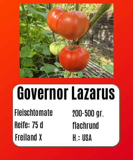 Governor Lazarus DER TOMATENFLÜSTERER