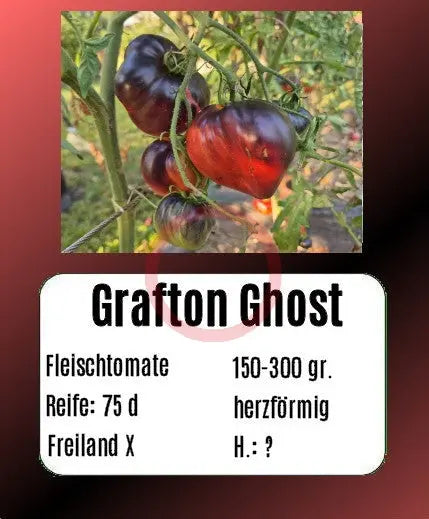 Grafton Ghost DER TOMATENFLÜSTERER