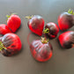 Grafton Ghost DER TOMATENFLÜSTERER