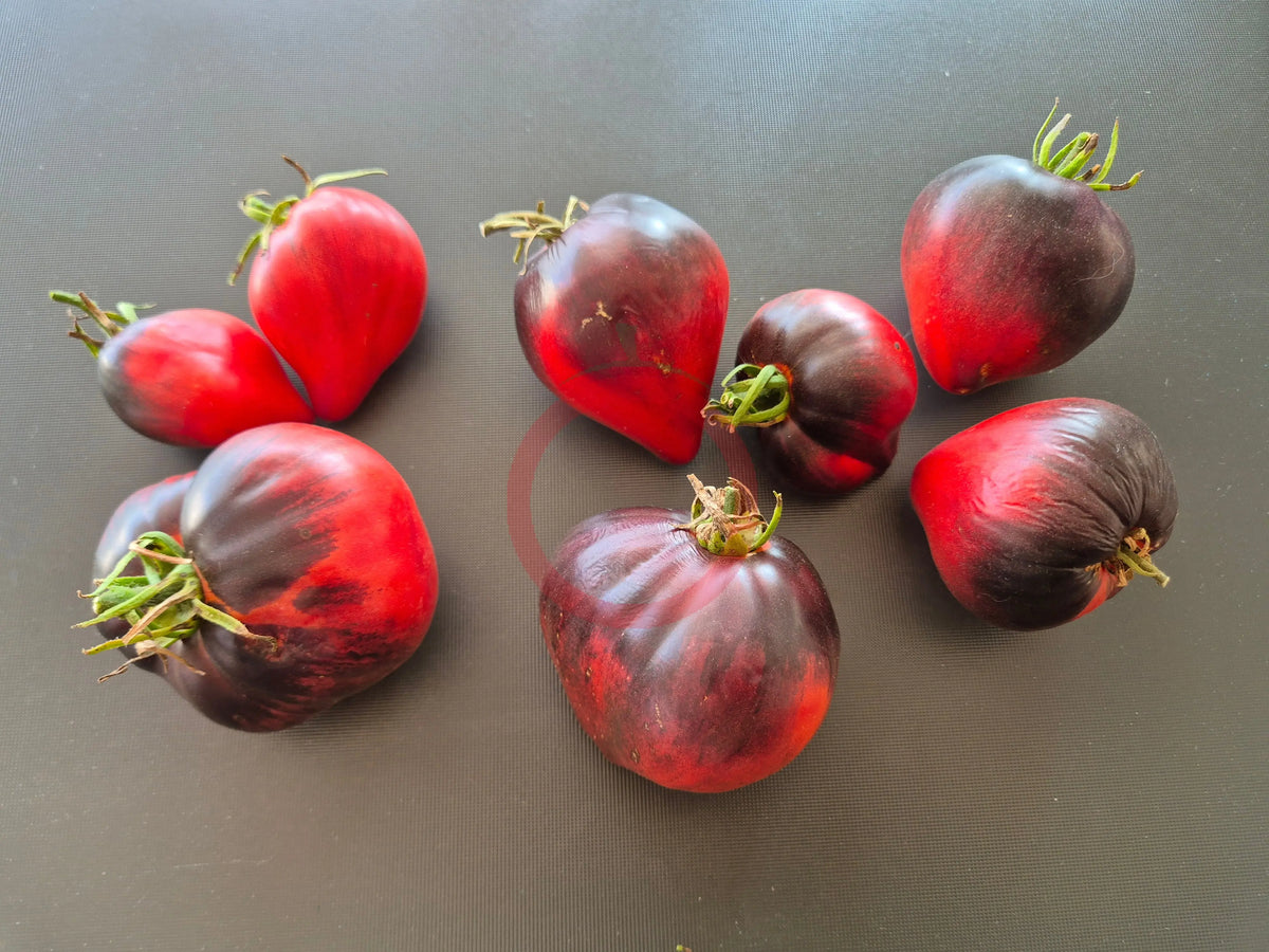 Grafton Ghost DER TOMATENFLÜSTERER