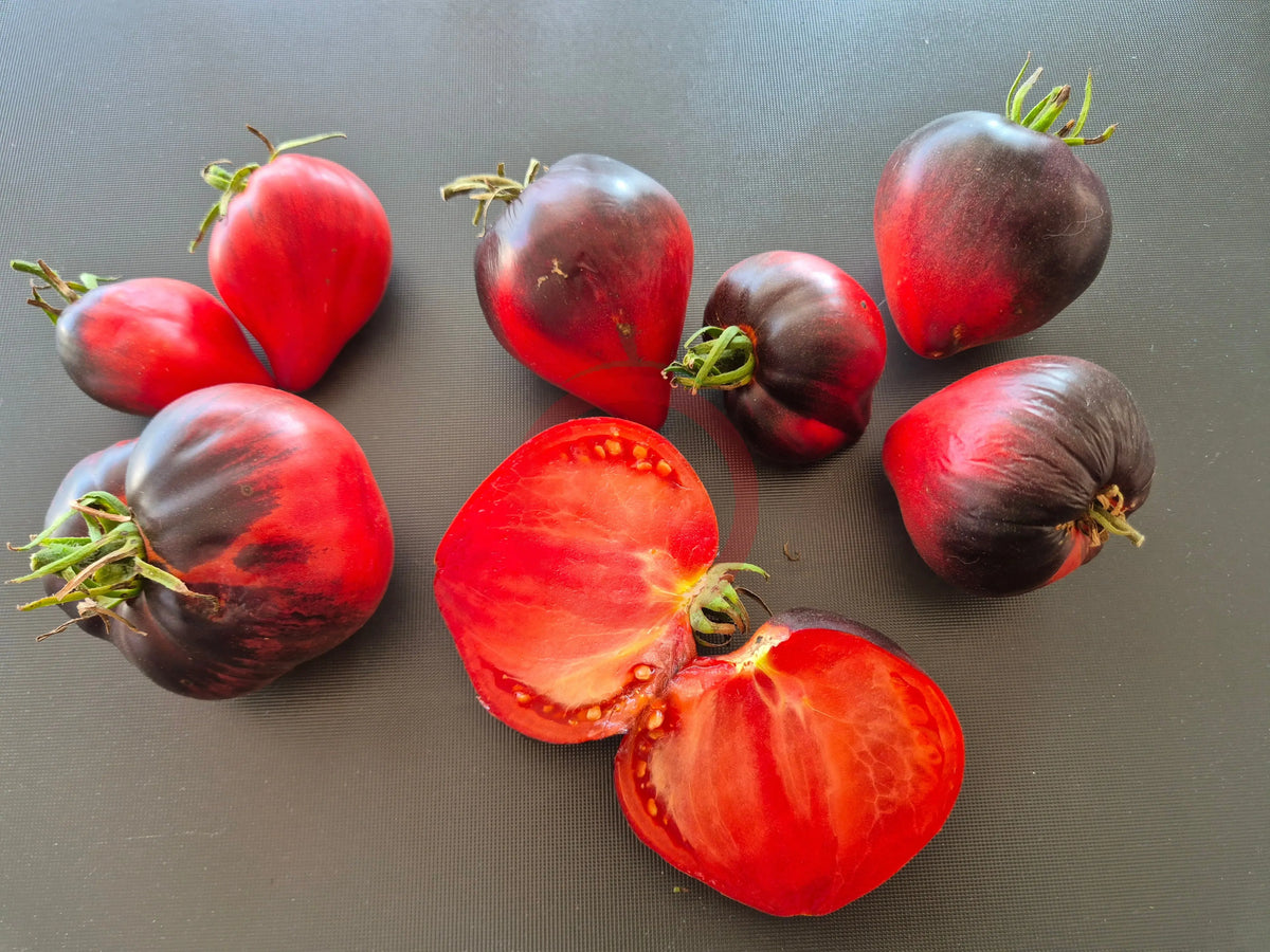 Grafton Ghost DER TOMATENFLÜSTERER