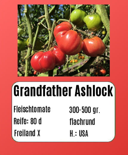 Grandfather Ashlock DER TOMATENFLÜSTERER