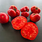 Grandfather Ashlock DER TOMATENFLÜSTERER