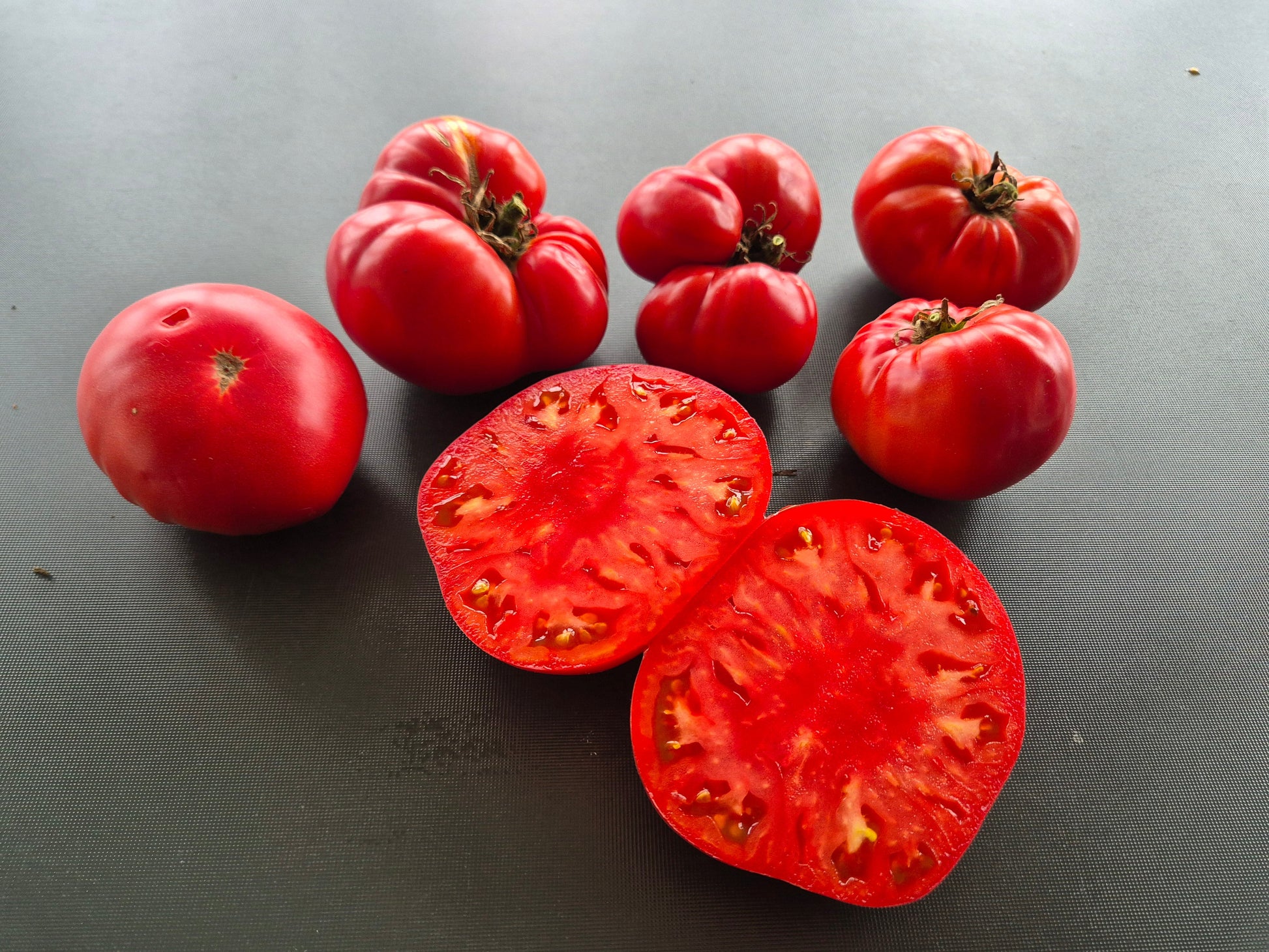 Grandfather Ashlock DER TOMATENFLÜSTERER