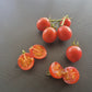 Grappler´s Quest DER TOMATENFLÜSTERER