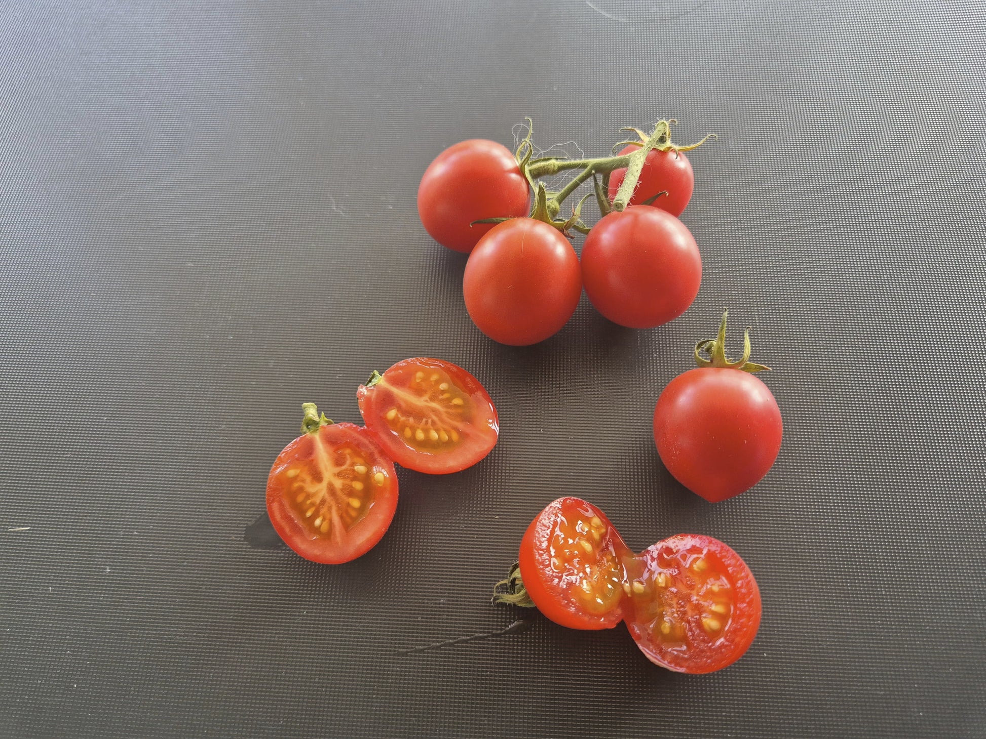 Grappler´s Quest DER TOMATENFLÜSTERER