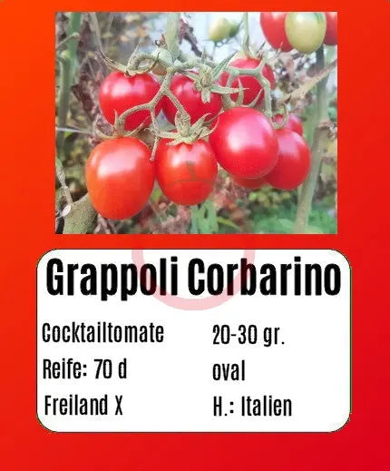 Grappoli Corbarino DER TOMATENFLÜSTERER