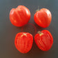 Grbalska Paradejs DER TOMATENFLÜSTERER