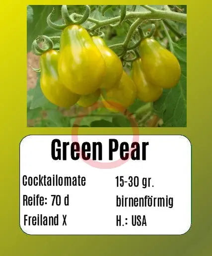 Green Pear DER TOMATENFLÜSTERER