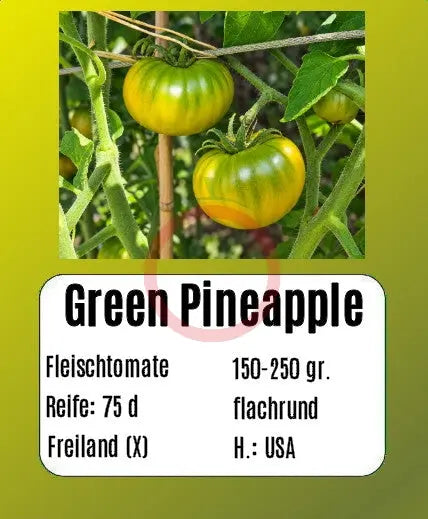 Green Pineapple DER TOMATENFLÜSTERER