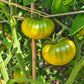 Green Pineapple DER TOMATENFLÜSTERER