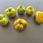 Green Pineapple DER TOMATENFLÜSTERER