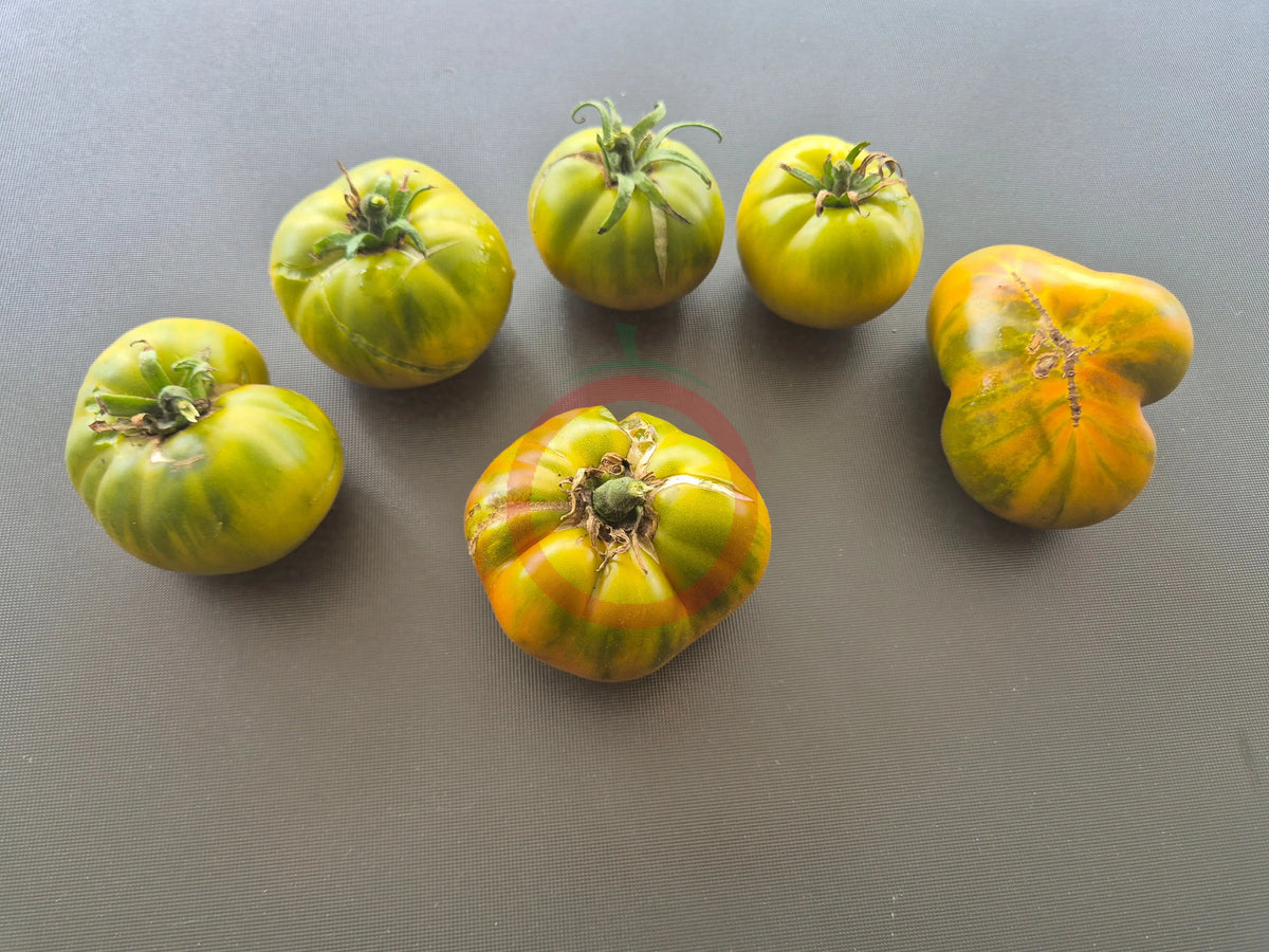 Green Pineapple DER TOMATENFLÜSTERER