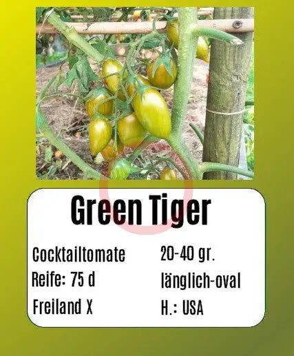 Green Tiger DER TOMATENFLÜSTERER