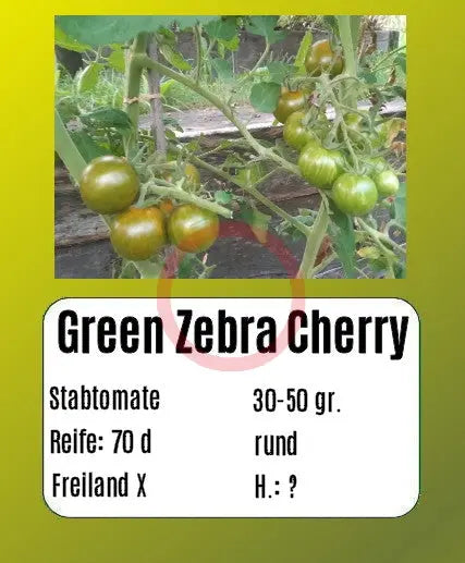 Green Zebra Cherry DER TOMATENFLÜSTERER