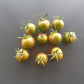 Green Zebra Cherry DER TOMATENFLÜSTERER