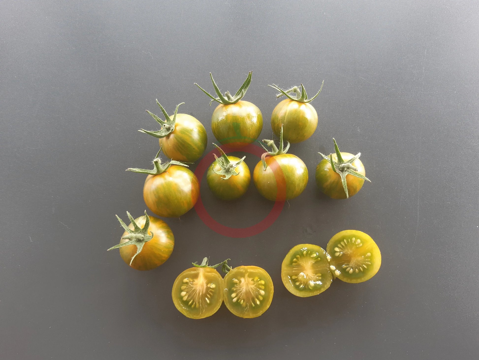 Green Zebra Cherry DER TOMATENFLÜSTERER