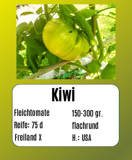 Green Zebra Cherry (Kopie) DER TOMATENFLÜSTERER