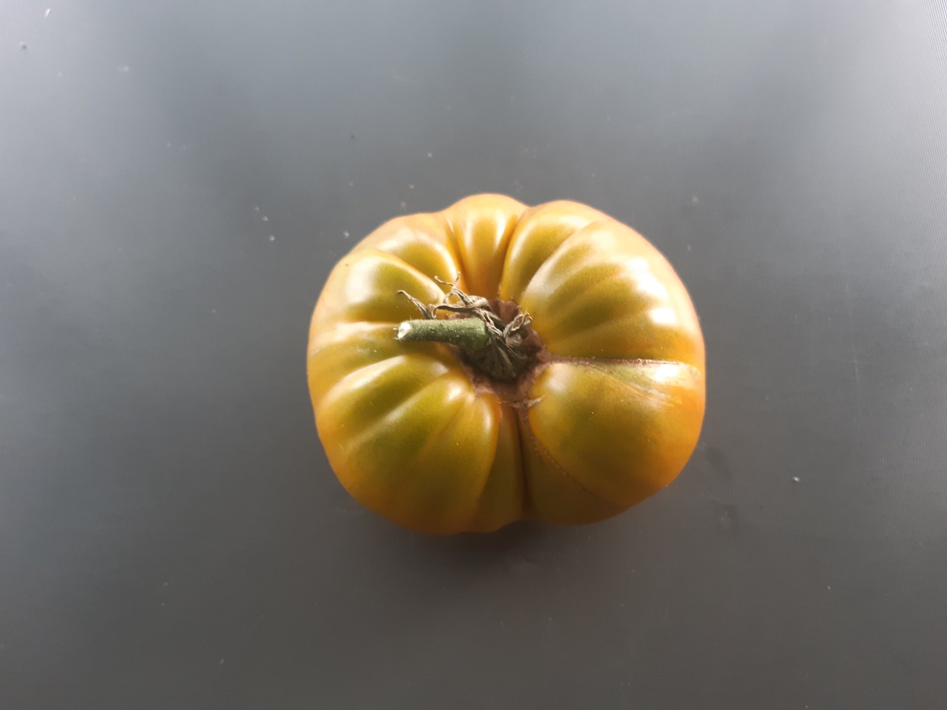 Green Zebra Cherry (Kopie) DER TOMATENFLÜSTERER