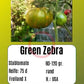 Green Zebra DER TOMATENFLÜSTERER