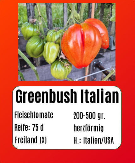 Greenbush Italian DER TOMATENFLÜSTERER