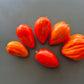 Greenbush Italian DER TOMATENFLÜSTERER