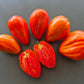 Greenbush Italian DER TOMATENFLÜSTERER