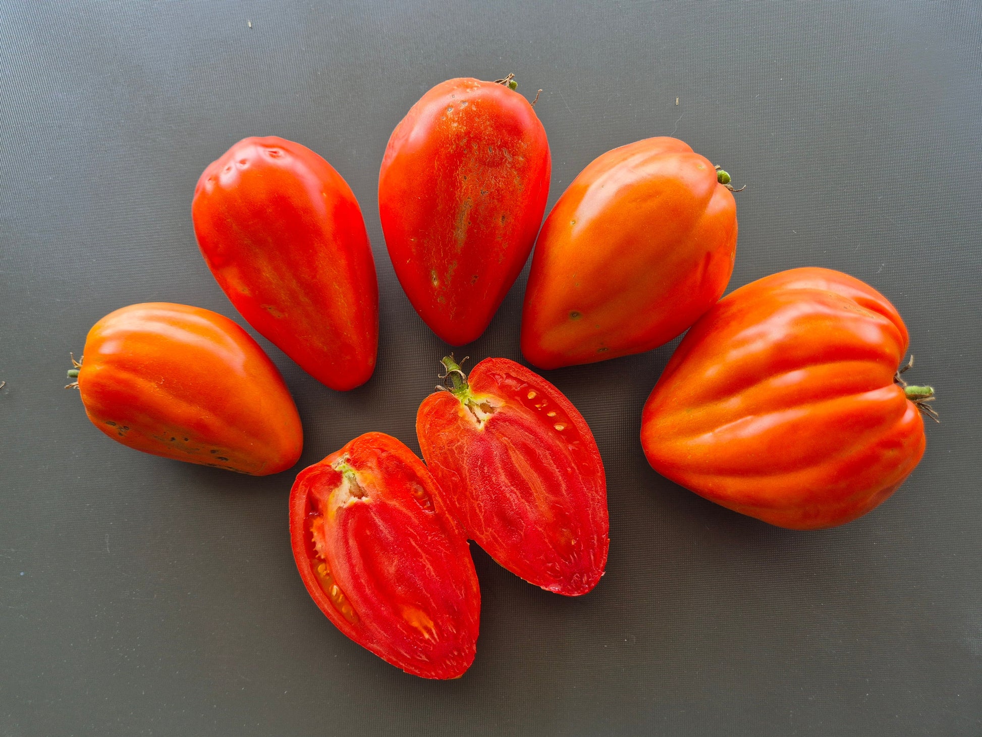 Greenbush Italian DER TOMATENFLÜSTERER