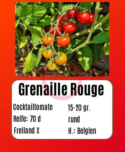 Grenaille Rouge DER TOMATENFLÜSTERER