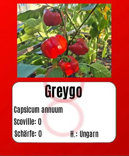 Greygo DER TOMATENFLÜSTERER