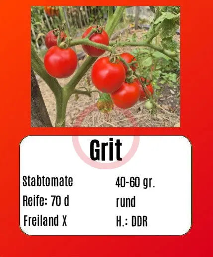 Grit DER TOMATENFLÜSTERER