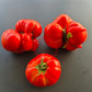 Grosse du Vaucluse DER TOMATENFLÜSTERER