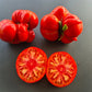 Grosse du Vaucluse DER TOMATENFLÜSTERER