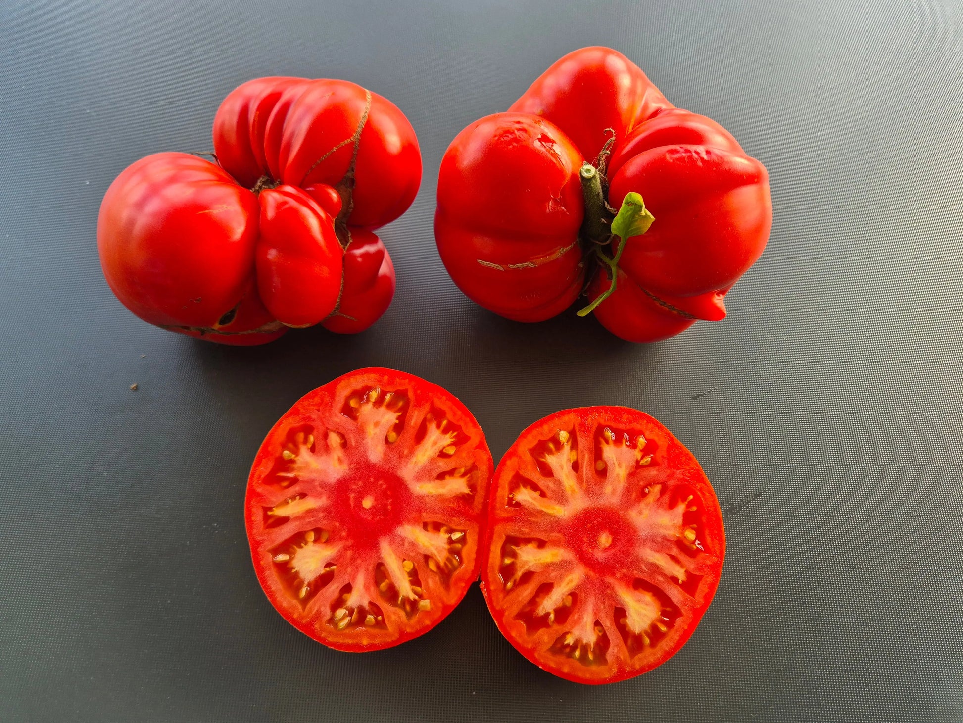 Grosse du Vaucluse DER TOMATENFLÜSTERER