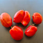 Gyöngyösi Paprika DER TOMATENFLÜSTERER