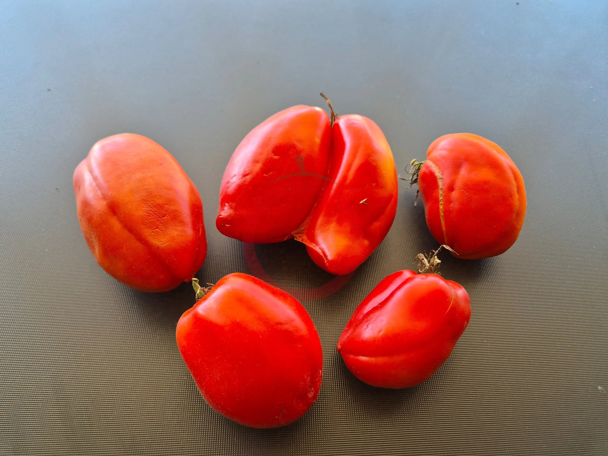 Gyöngyösi Paprika DER TOMATENFLÜSTERER