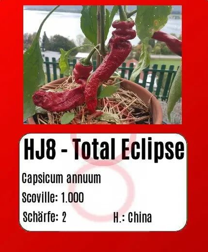 HJ8 - Total Eclipse DER TOMATENFLÜSTERER