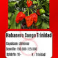 Habanero Congo Trinidad DER TOMATENFLÜSTERER