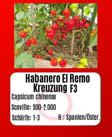 Habanero El Remo F3 DER TOMATENFLÜSTERER