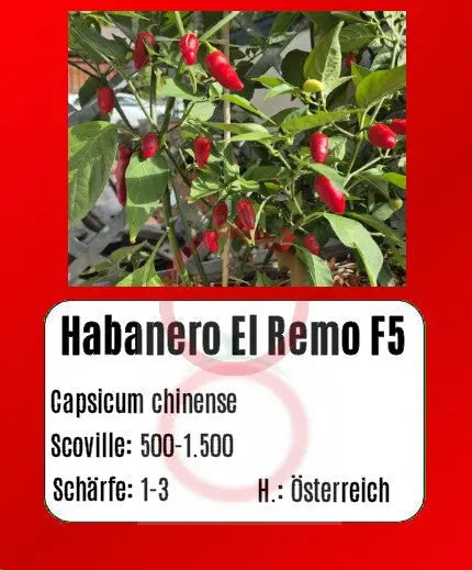 Habanero El Remo F5 DER TOMATENFLÜSTERER