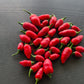 Habanero El Remo F5 DER TOMATENFLÜSTERER
