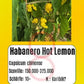 Habanero Hot Lemon DER TOMATENFLÜSTERER