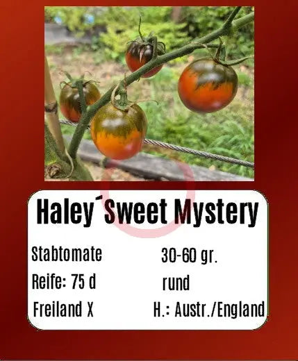 Haley's Sweet Mystery DER TOMATENFLÜSTERER