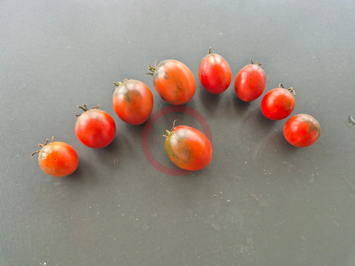 Haley's Sweet Mystery DER TOMATENFLÜSTERER