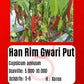 Han Rim Gwari Put DER TOMATENFLÜSTERER