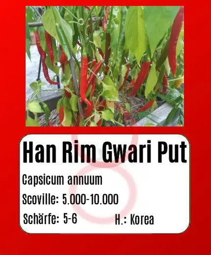 Han Rim Gwari Put DER TOMATENFLÜSTERER