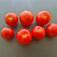 Harbinger DER TOMATENFLÜSTERER